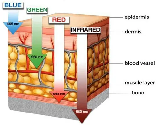 Chiropractic Evergreen CO Different Light Effects